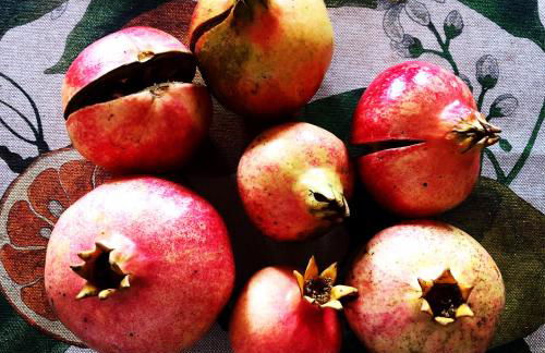 Casa de Campo, Quinta do Funchal - Foto 37