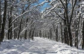 Apartamentos Monte Hernanz - Foto 53