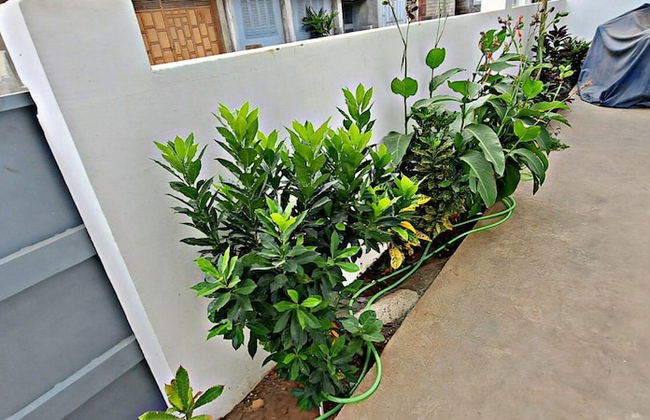 Apartamentos Santiago - Tarrafal - Foto 31