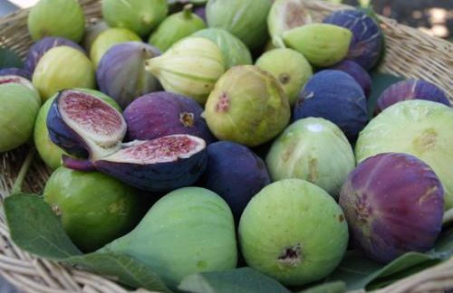 Villa Cristina - Foto 37