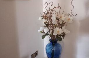 Olympos Philoxenia, μεταξύ βουνού και θάλασσας - Foto 36