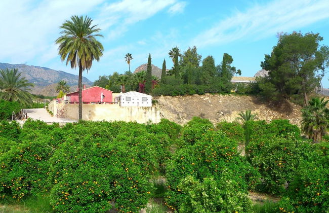 La Joya del Valle de Ricote - Photo 50