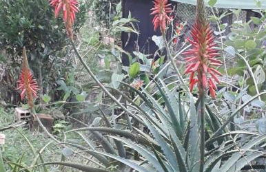 Cabana aconchegante na natureza - Foto 79