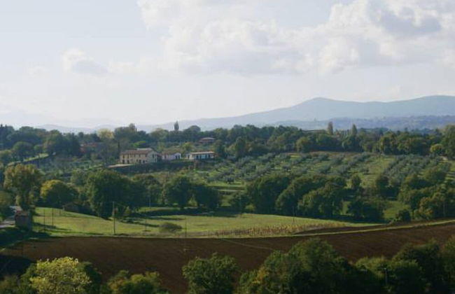 La Perticara - Foto 20