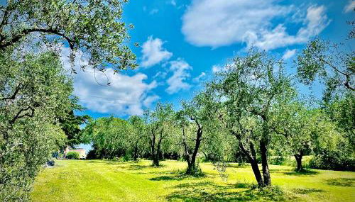 Apartment La Sera - Agriturismo CasaViVa - Foto 4, Garden