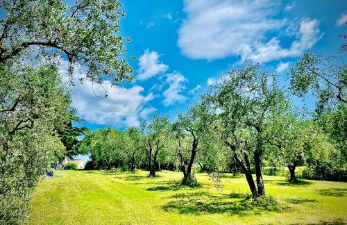Apartment La Sera - Agriturismo CasaViVa - Foto 4