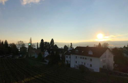 Ferienwohnungen Weingut Deufel - Foto 17