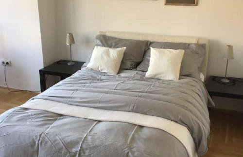 Spacious 3BR/2BT Apartment with A/C in City Center - Photo 9