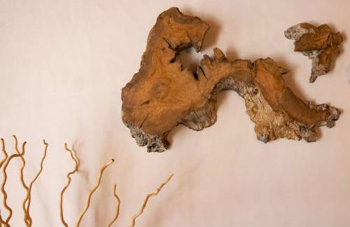 Casas de Campo do Castro da Cola - Foto 40