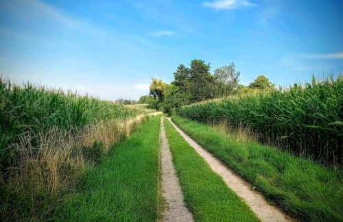 Ferienhaus Dr. Müller - Foto 30