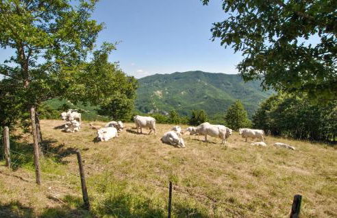 Nice Home In Sestino With House A Panoramic View - Foto 18