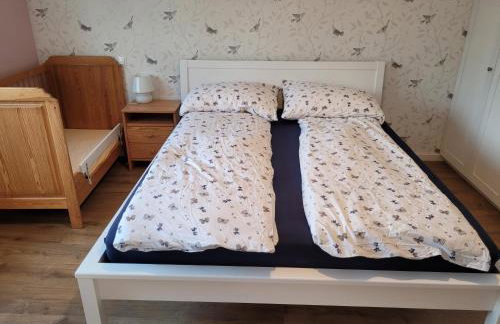 Agroturystyka Nowe Polaszki 10 - Foto 15