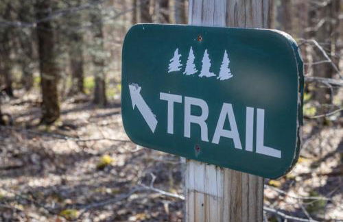 Leaf Peeper's - HUGE deck, pizza oven, Pac-man! - Photo 64