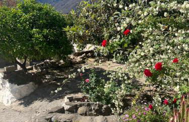 Huerta La Niña Arenas - Foto 42