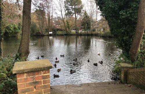 A Home from Home -2 Bed Flat & Free Driveway Parking - Foto 15