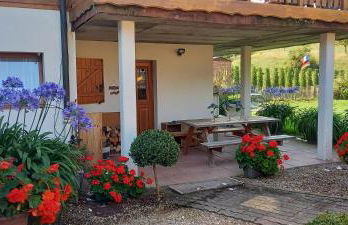 gite au coin du feu à 25mn de Colmar au calme avec jardin clos - Foto 1