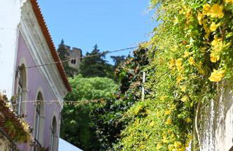 ESTÚDIO 81 junto à Sinagoga - Foto 61