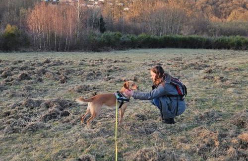 Apartment Sander by Interhome - Foto 11