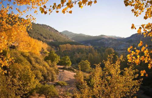 Apartamento ALMORCHÓN - Hotel Ruta del Segur - Foto 14