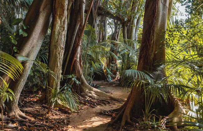 Lorhiti Apartments - Foto 26