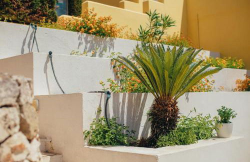 Oasi D'Oriente - Foto 19