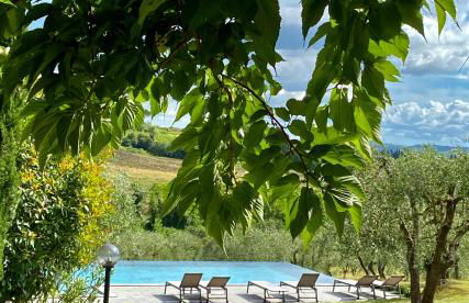 Podere Gattabigia - Foto 6