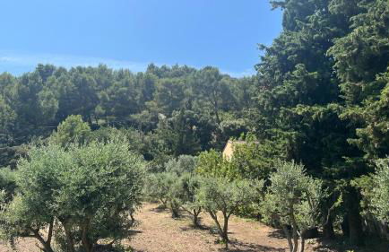 maison aux Baux de Provence - Foto 17