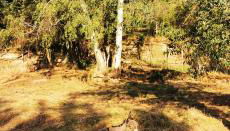 Pension Kroppental - Foto 2