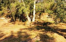 Pension Kroppental - Foto 2