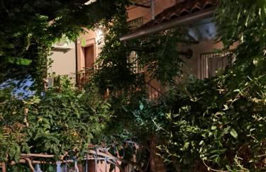 Musa Paradisiaca - Foto 3