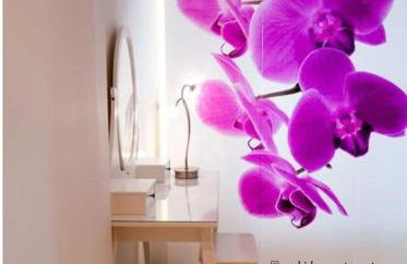 Orchid Apartments - Photo 2