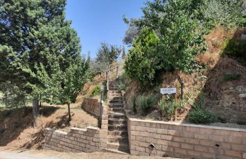 Il Mandorlo - Foto 8