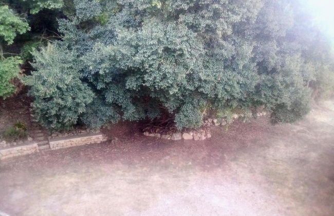 Casa Gelferraro - Foto 21