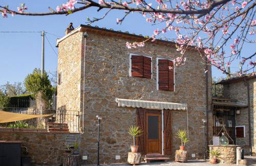 Antica Tinaia - Foto 4