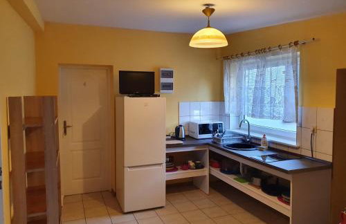 Newland Wójtowicz - Foto 7