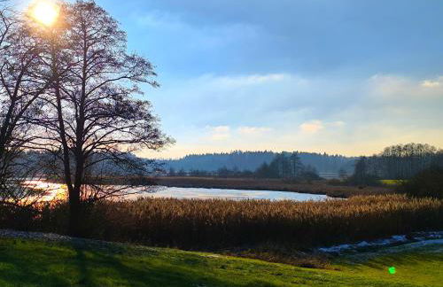 Tiny House 2 im Allgäu mit gr. Garten, Randlage - Foto 24