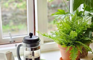 Brook Barn at Bolberry Court - Foto 9