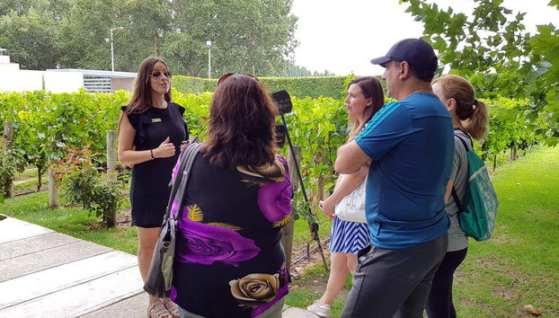 Maipú Wine Region Tour - Foto 4