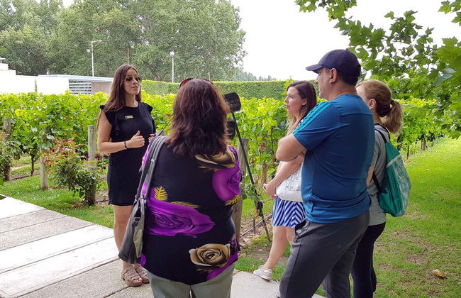 Tour por la zona vitivinícola de Maipú - Foto 4