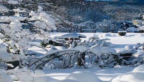 Ferienhaus Marianne Kroschinski - Foto 4