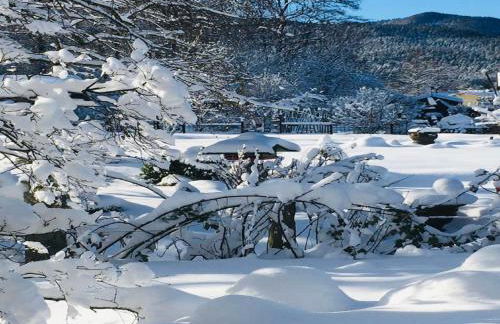 Ferienhaus Marianne Kroschinski - Foto 4