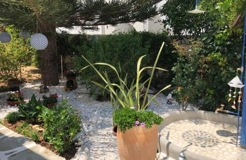 Marioly Studios - Foto 45