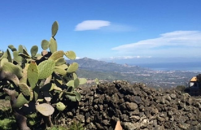 Etnella enoagriturismo Notti Stellate - Foto 49