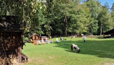 Apartament Buczyna - Foto 3