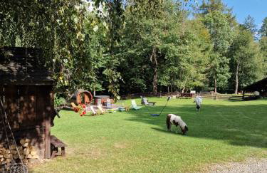 Apartament Buczyna - Foto 3