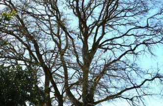 Duerming Casa Vilamor - Photo 31