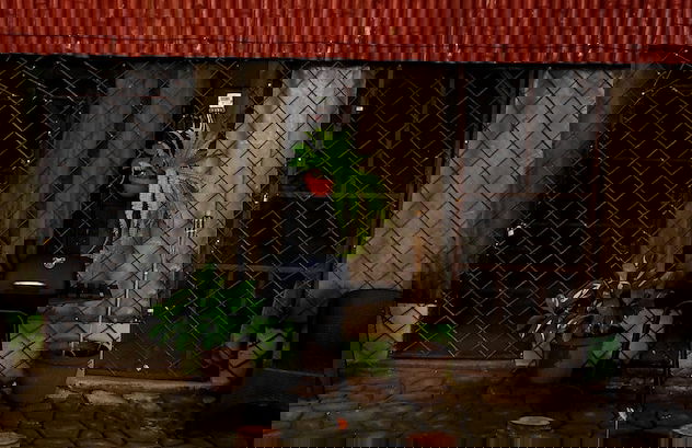 SUZAL BUNGALOW 16 - Photo 10