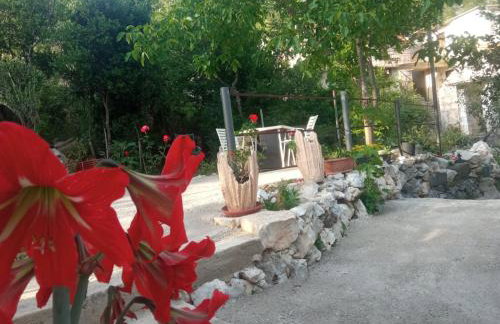 Studio Biokovo smaller object 22 m2 - Foto 11