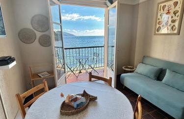 A 20min d AJACCIO, Grand studio 3 personnes - pieds dans l'eau - accès direct plage - vue mer exceptionnelle - Foto 6