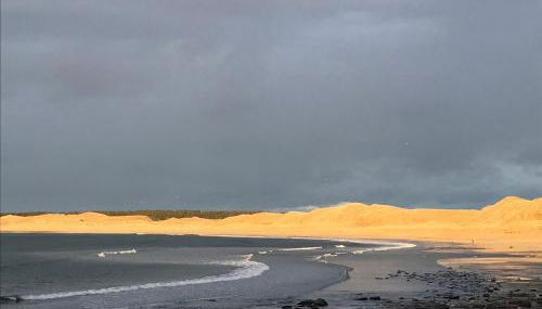 Dunes View, Cottage1, Dunnetbay accommodation - Photo 2